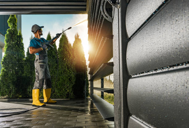 Best Residential Pressure Washing Services  in Remsen, IA