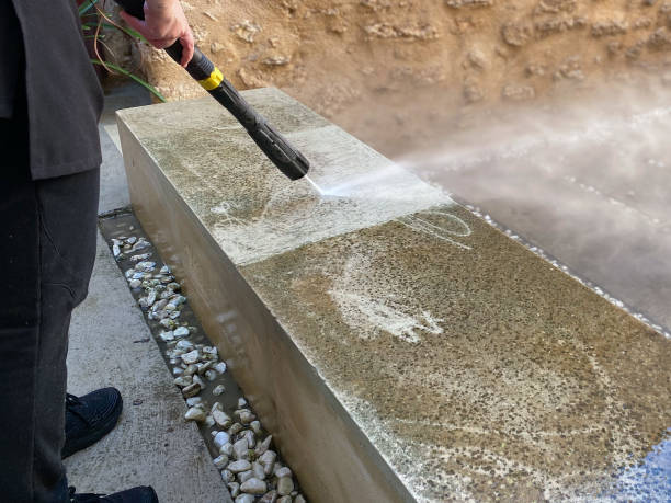 Best Pressure Washing Near Me  in Remsen, IA