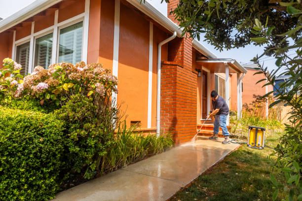 Best Deck Pressure Washing  in Remsen, IA